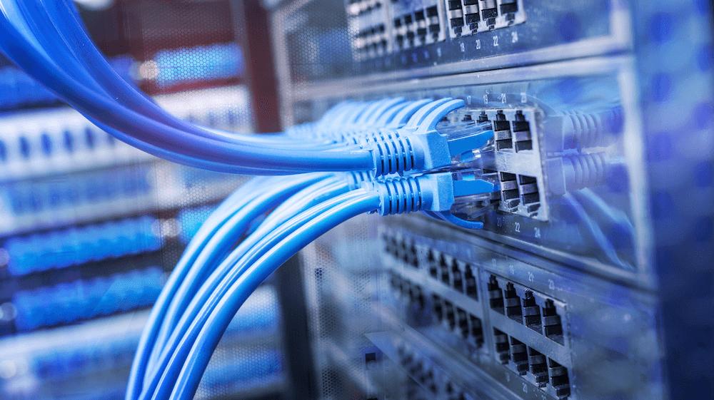 Close-up of blue network cables connected to a server in a data center.